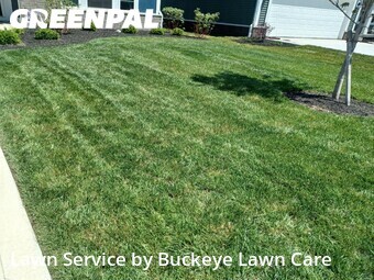 Grass Cut nearby Grove City, OH, 