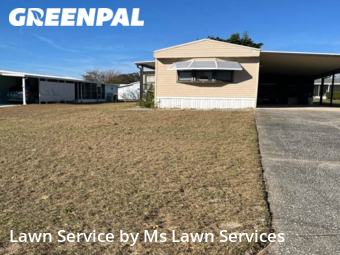 Lawn Care nearby Lake Alfred, FL, 