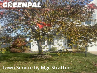 Yard Cutting nearby Berea, OH, 