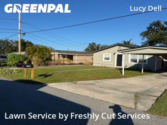 Yard Cuttingin Lakeland,33815,Lawn Mowing by Freshly Cut Services, work completed in Dec , 2025