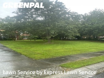 Yard Mowing nearby Lawrenceville, GA, 