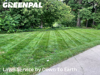 Lawn Service nearby Saginaw, MI, 