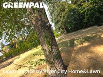 Lawn Care nearby Spokane Valley, WA, 