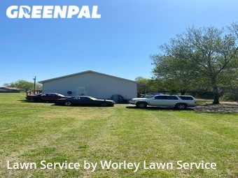 Lawn Mow nearby Murfreesboro, TN, 