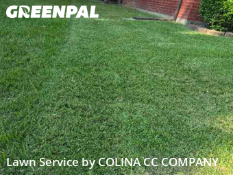 Yard Cutting nearby Flower Mound, TX, 