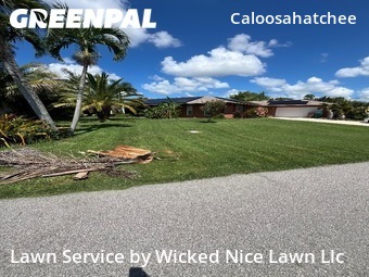 Grass Cut nearby Cape Coral, FL, 