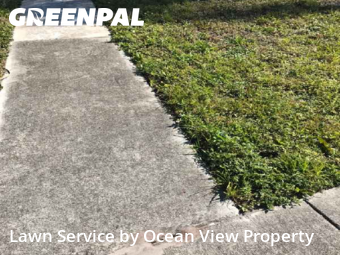 Grass Cut nearby Pompano Beach, FL, 