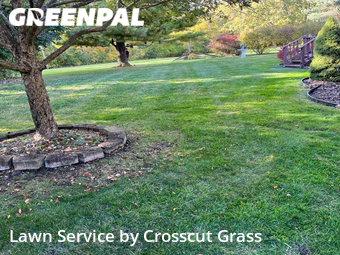 Grass Cut nearby Rochester Hills, MI, 