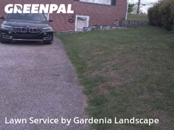 Grass Cutting nearby Springfield Township, PA, 
