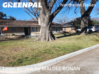Lawn Cuttingin Dallas,75231,Grass Cutting by MALDEZ RONAN, work completed in Feb , 2026