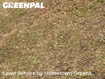 Yard Services in Bartow, 33830, Weed Trimming by Hometown Greens , work completed in Dec , 2025