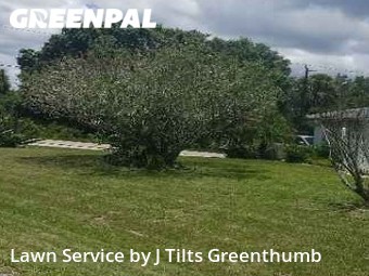 Lawn Mow nearby Port Charlotte, FL, 