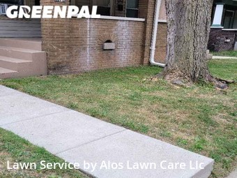 Grass Cut nearby Indianapolis, IN, 