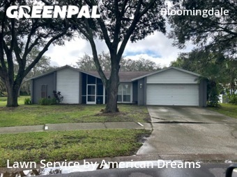 Lawn Cutting nearby Valrico, FL, 