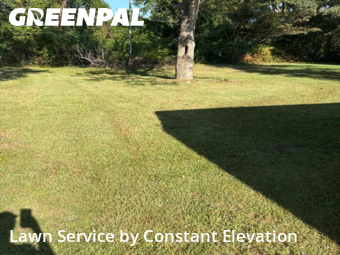 Lawn Mow nearby La Grange, NC, 