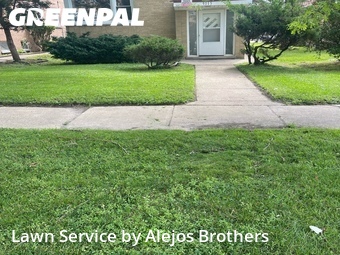 Grass Cut nearby Skokie, IL, 