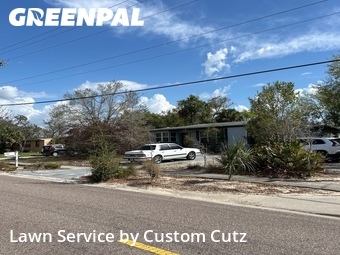 Grass Cut nearby Tampa, FL, 