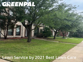 Lawn Cut nearby Frisco, TX, 