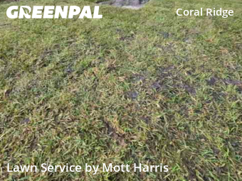 Yard Cuttingin Fort Lauderdale,33334,Grass Cutting by Mott Harris, work completed in Jan , 2026