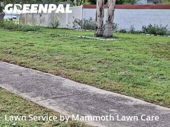 Lawn Care nearby Brandon, FL, 