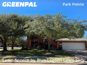 Lawn Cuttingin Sugar Land,77498,Grass Cut by Blue Lagoon Lawn Serv, work completed in Dec , 2025
