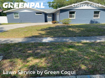 Lawn Mow nearby Tampa, FL, 