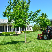 local-lawn-and-landscape-maintenance-services-near-me-in-Edmonds-WA