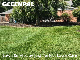 Yard Care in North Olmsted, 44070, Weed Trimming by Just Perfect Lawn Care, work completed in Oct , 2025