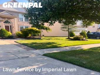 Grass Cut nearby Ypsilanti Charter Township, MI, 