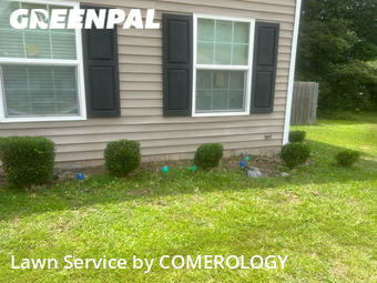 Grass Cut nearby Atlanta, GA, 