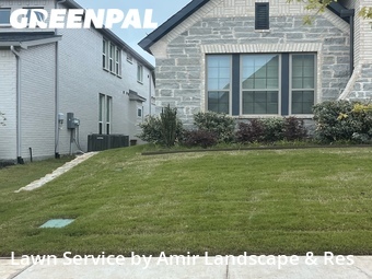 Grass Cut nearby Fort Worth, TX, 
