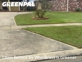 Lawn Cut nearby Zachary, LA, 