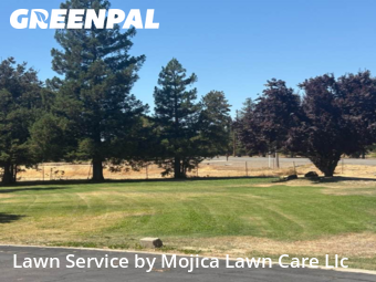 Work completed by affordable-lawn-services-in-Elk Grove-CA