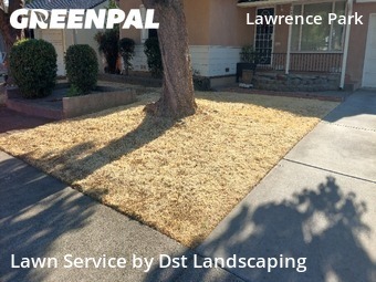 grass-trimming-service-in-Rocklin-CA