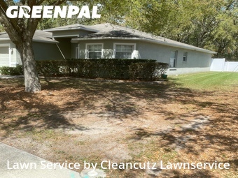 Yard Cutting nearby Auburndale, FL, 