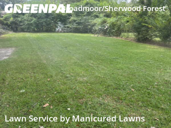 Yard Cutting nearby Baton Rouge, LA, 