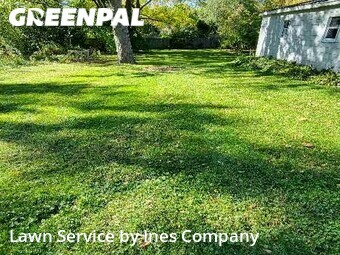 Grass Cut nearby Downers Grove, IL, 