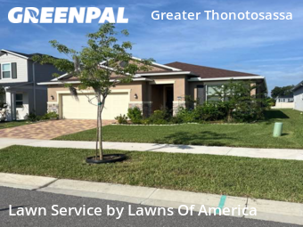 Lawn Mow nearby Seffner, FL, 