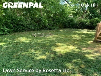 Lawn Care nearby Chattanooga, TN, 