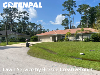 Lawn Mow nearby Palm Coast, FL, 