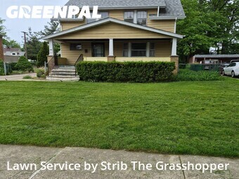 Lawn Cut nearby Euclid, OH, 