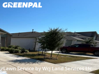 Work completed by the-yard-cutting-businesses-in-San Marcos-CA