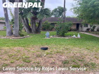 Grass Cut nearby Brownsville, TX, 
