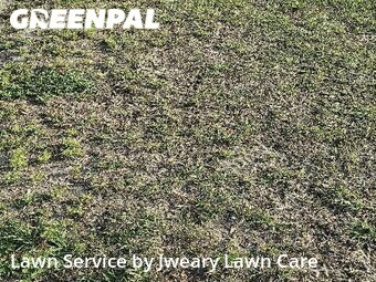 Lawn Service nearby Lakeland, FL, 