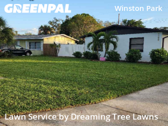Lawn Cut nearby St. Petersburg, FL, 