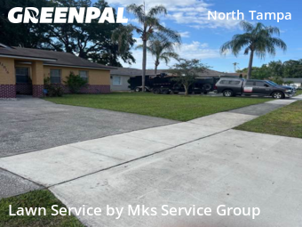 Lawn Upkeep in Lake Magdalene, 33618, Weed Trimming by Mks Service Group, work completed in Dec , 2025