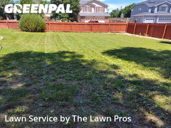 Lawn Cutting nearby Thornton, CO, 