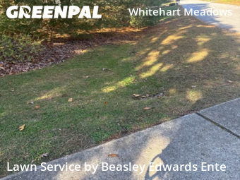 Yard Cutting nearby Raleigh, NC, 