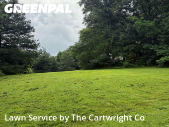 Yard Mowing nearby Chapel Hill, NC, 