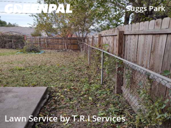 Grass Cut nearby Oklahoma City, OK, 